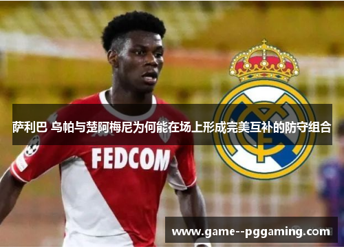 萨利巴 乌帕与楚阿梅尼为何能在场上形成完美互补的防守组合