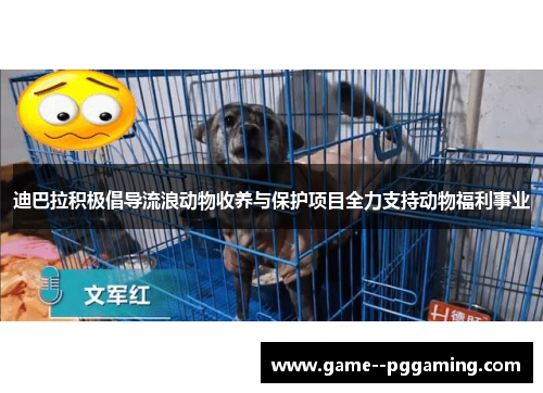 迪巴拉积极倡导流浪动物收养与保护项目全力支持动物福利事业 迪巴拉积极倡导流浪动物收养与保护项目全力支持动物福利事业