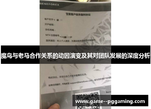 魔鸟与老马合作关系的动因演变及其对团队发展的深度分析
