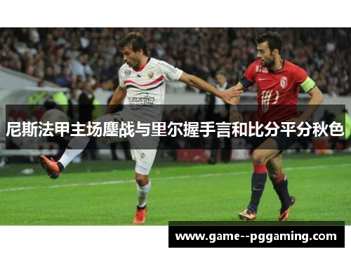 尼斯法甲主场鏖战与里尔握手言和比分平分秋色 尼斯法甲主场鏖战与里尔握手言和比分平分秋色
